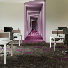 IVC Contour Коллекция Perspective Perspective 848 фото 3 | FLOORDEALER